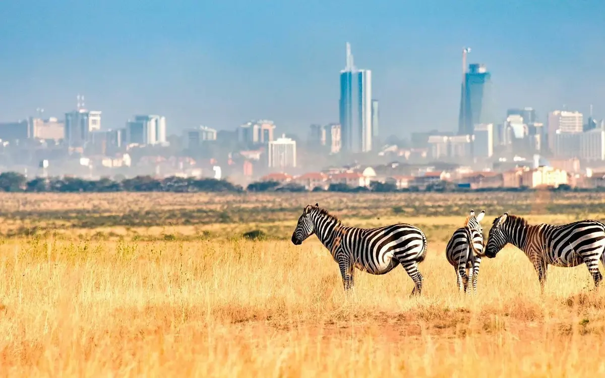 Nairobi National Park Safari Tours