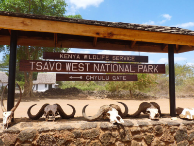 Tsavo East National Park Safari Tours