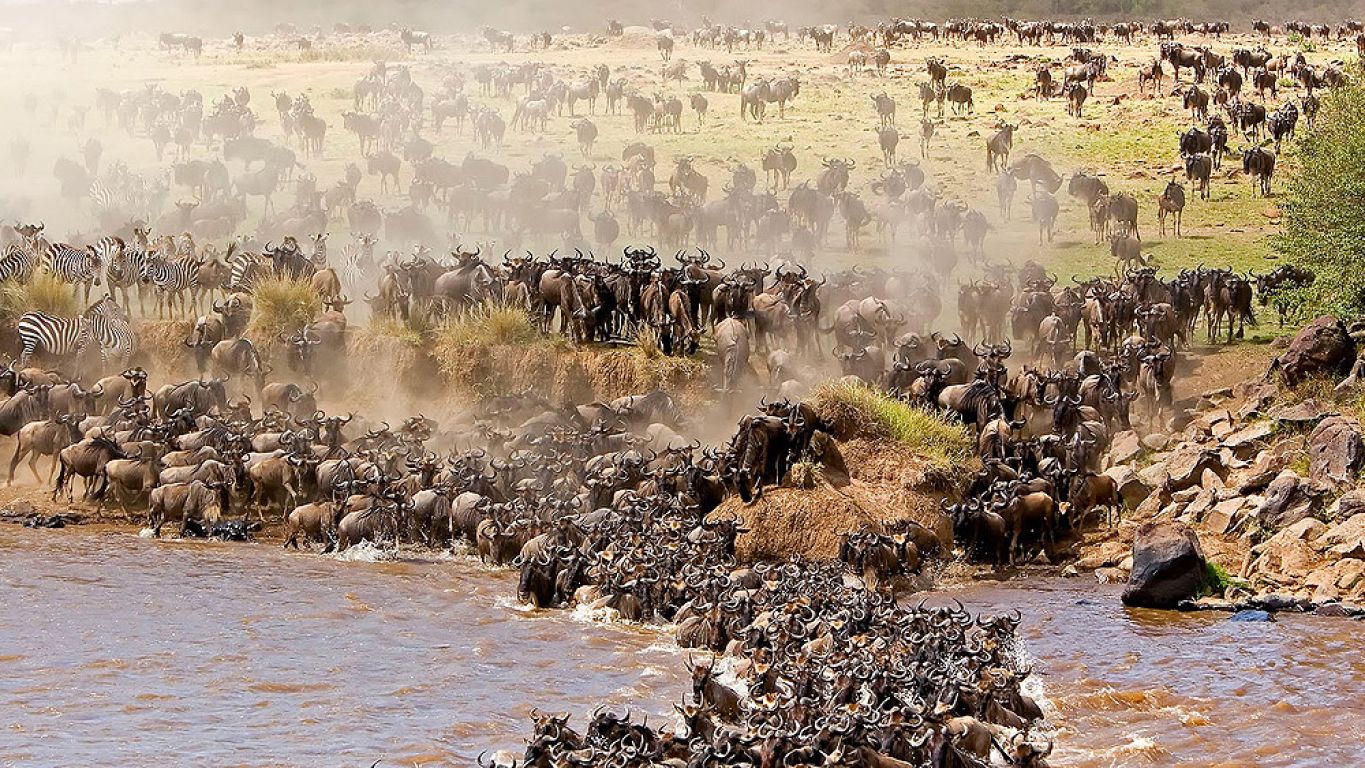 Great Migration Observer: Luxury Tent Camp Safari